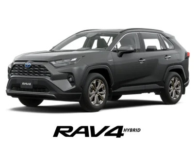 Rav4 Cover