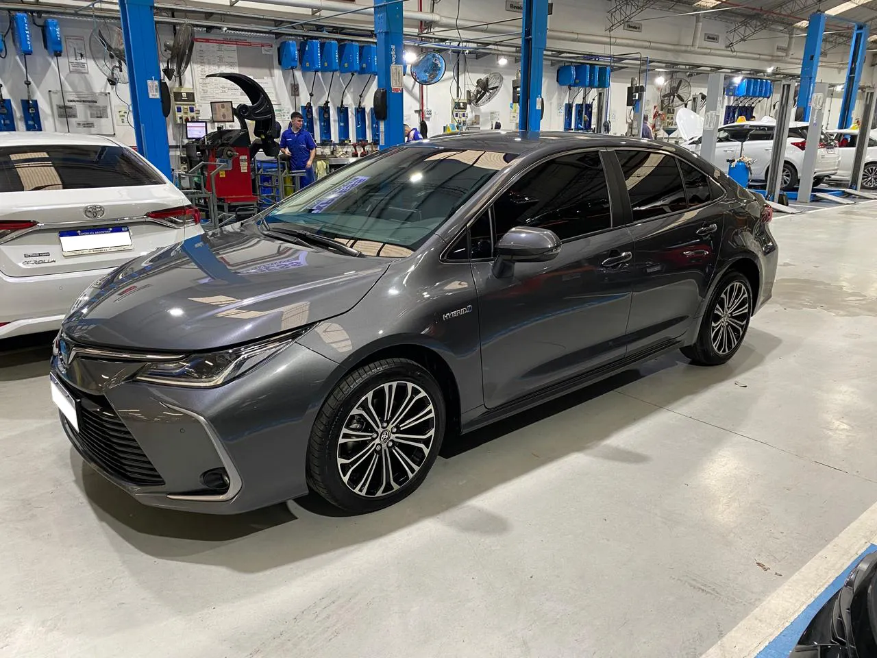 TOYOTA COROLLA SEG HV 2022