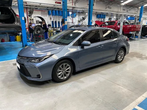 COROLLA XLI-2023