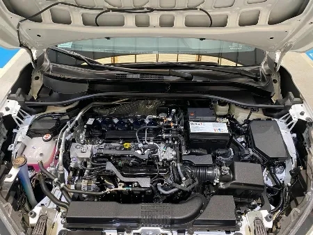 SEG CVT 2021- imgN°8