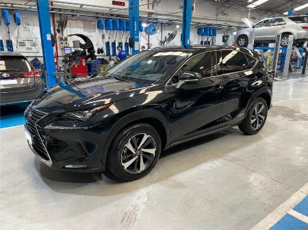 NX 2.5 300H LUXURY 2020 - imgN°1